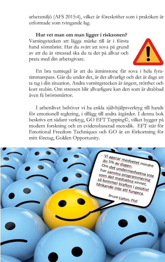 BoD-läsprov: Lugn i stormen